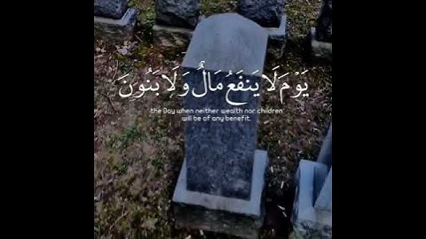 تلاوة مميزة للقارئ " انس شهاب " // WhatsApp Islamic cases ❤️🌿🥀