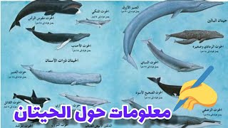 أكبر الحيوانات على الأرض #عالم المعرفة #المغرب