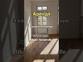 Сдается 3 комнатная квартира Моабит  +4915203782221 #home #apartment #realestateagent