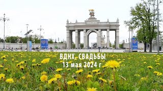 ВДНХ СВАДЬБЫ