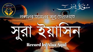 Oyoqlarini yalayotgan qulning surati. Oyoqlarini yalayotgan qulning surati.