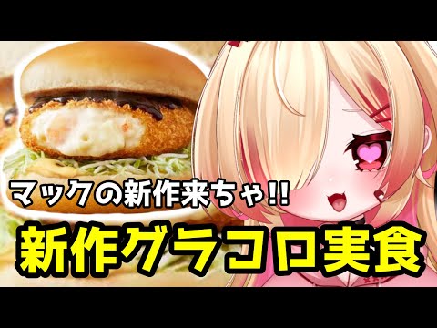 【#雑談 】ふゆだ！ハヤシだ！新作だ～！！【新人VTuber/はぐみぃ】