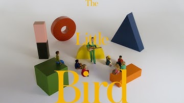 Natalie Bergman - The Little Bird - The Birdsong Project (Official Video)