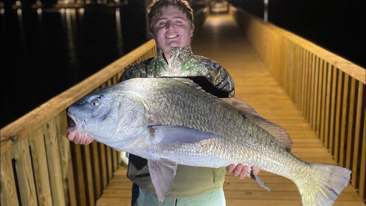 Corpus Christi fishing// 4 MASSIVE BLACK DRUM ALL 40+ INCHES (NEW