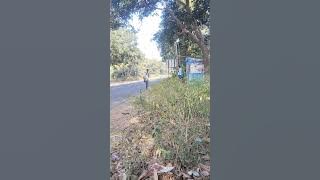 MUTA #dongalamuta #shorts