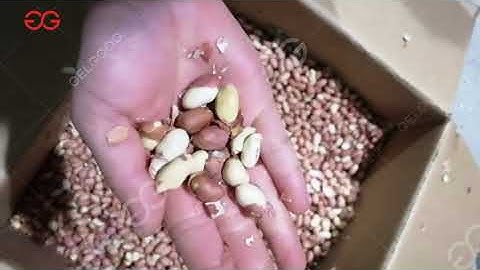 Testing Video of Peanut Roasting Cooling Machine From cara@machinehall.com 008613015518550