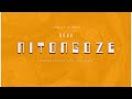 Chilily Noman Nitongoze Singeli Music IKMZIKI COM 