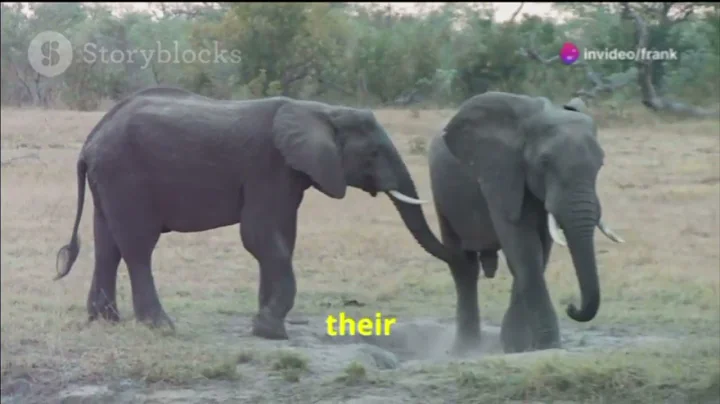 Darwin’s Moral Philosophy: A New Era in Ethics