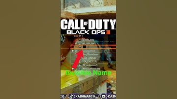 NEW Black ops 3 INVISIBLE name MOD