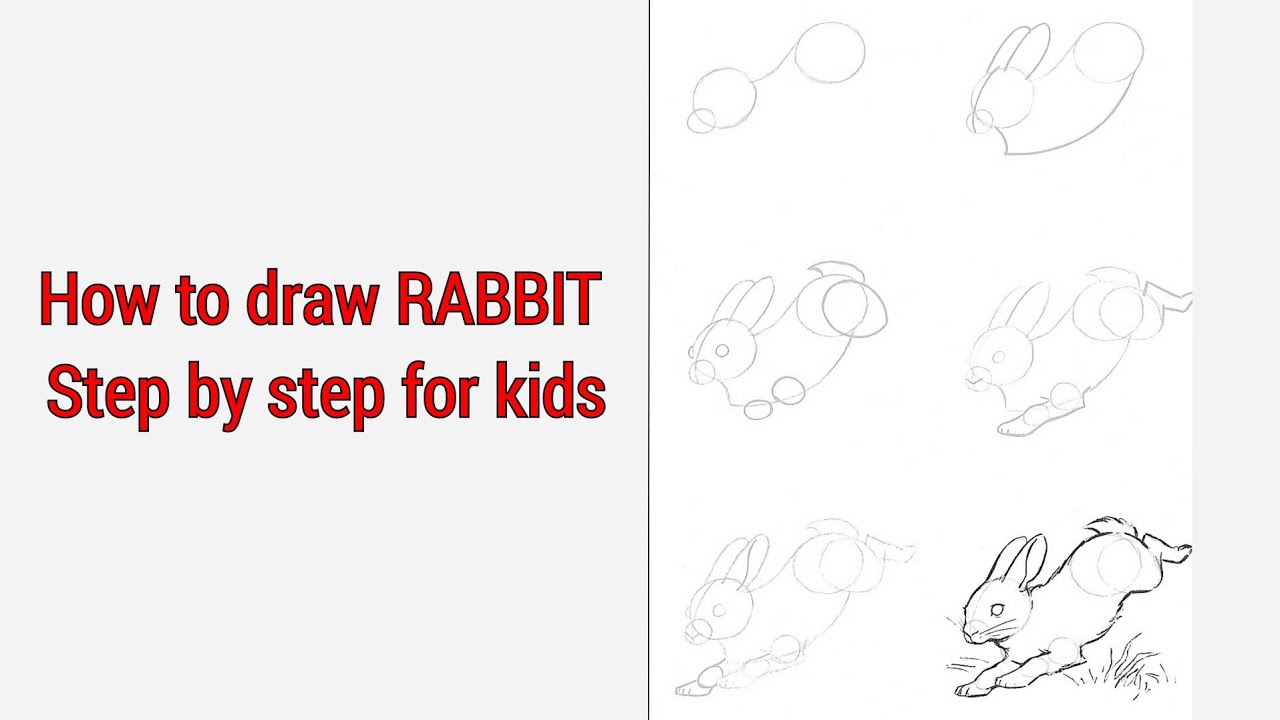 How to draw RABBIT, Step by step for kids - YouTube