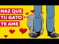 10 Maneras Basadas En La Ciencia Para Hacer Que Tu Gato Te Ame