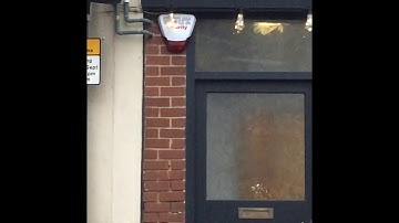 ACA Shorts: Deltabell X Flashing Away