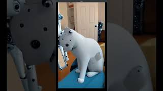 Using Stable Diffusion On My Cat #cats #ai #machine learning #stablediffusion