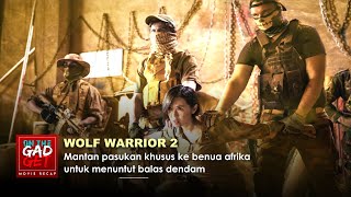 AKSI BALAS DENDAM ! MANTAN PASUKAN KHUSUS | Alur Cerita Film Action WOLF WARRIOR 2