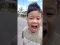 the top 5 scream