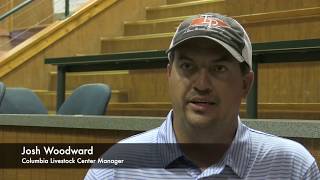 TLP Columbia Cattle Sale Overview