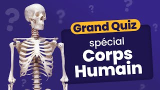 QUIZ spécial Corps Humain : 40 Questions