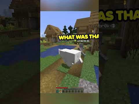 adventures of polar bear #gaming #youtube #funny #minecraft #memes #tiktok #shorts #ytshorts