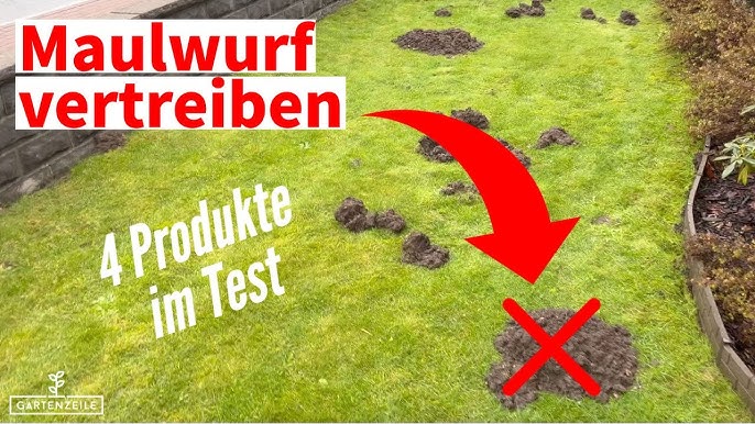 Maulwurf - Wühlmaus - Wühlratte vertreiben durch Schallstab