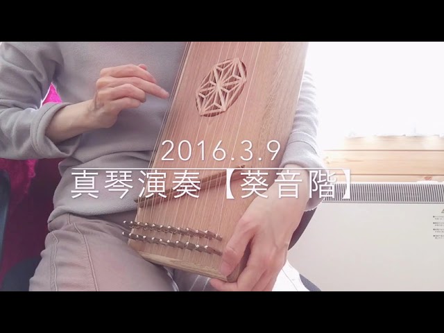 真琴9弦 【公式通販】