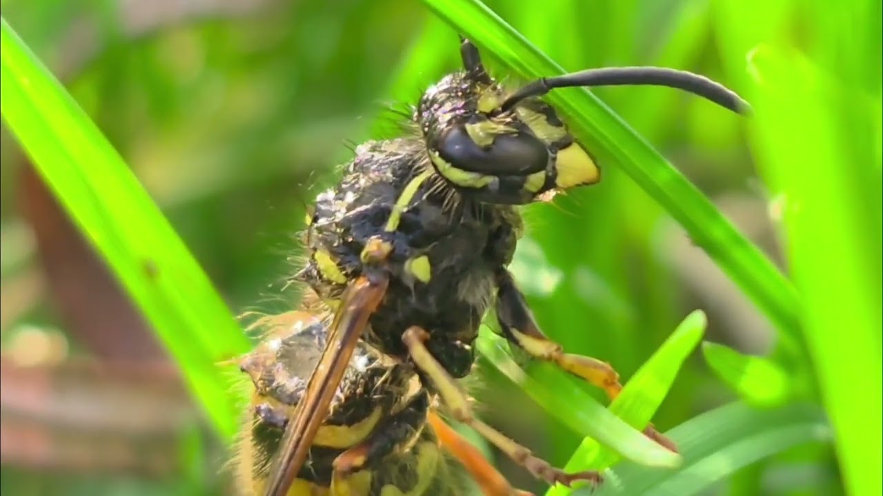 Winter Washer + Go Back To Bed.!