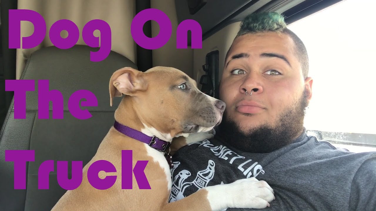 Prime Inc. Pets On The Truck Issues