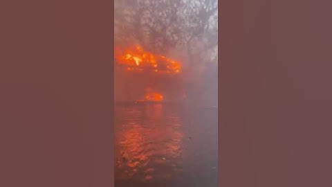 Tourists take refuge in pool during Lahaina, Hawaii fire
