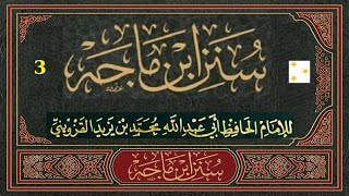كتاب سنن ابن ماجه أبو عبد الله محمد بن يزيد القزويني. سادس كتب الأحاديث النبوية الستة - جزء 3