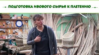 Русская ива. Видео обзор. Подготовка ивового сырья к плетению.