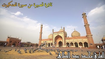 "...إِنَّ الصَّلَاةَ تَنْهَىٰ عَنِ الْفَحْشَاءِ وَالْمُنكَرِ.." | تلاوة قصيرة من سورة العنكبوت