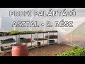 Profi palántázó asztal - 2. rész