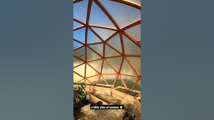 Geodesic Dome Summer