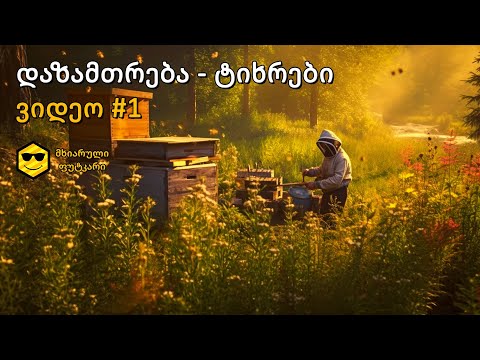 დაზამთრება – ტიხრები (2023 წელი)