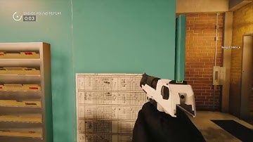 Desert Eagle Pistol Whip