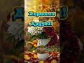 Доброе утро #творчестводлядуши #доброеутро #новыйдень