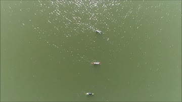 Real trial of cooperative path following with Medusa autonomous surface vehicles at IST Lisbon