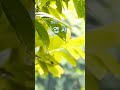 엽서 / 정윤선 #7080추억 #감성힐링