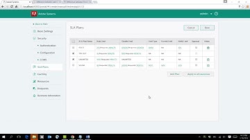API rate limiting throttling