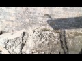 Best moments from the platform - Red Bull Cliff Diving World Series 2014
