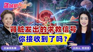 肾脏发出的求救信号 你接收到了吗？《洛城情报站》2026.08.07