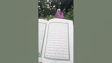 سورة آل عمران (ولا تخزنا يوم القيامة إنك لا تخلف الميعاد)