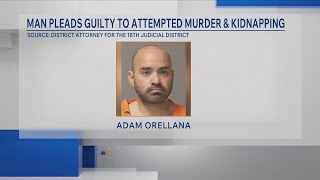Zachary man pleads guilty after 2023 shooting and kidnapping