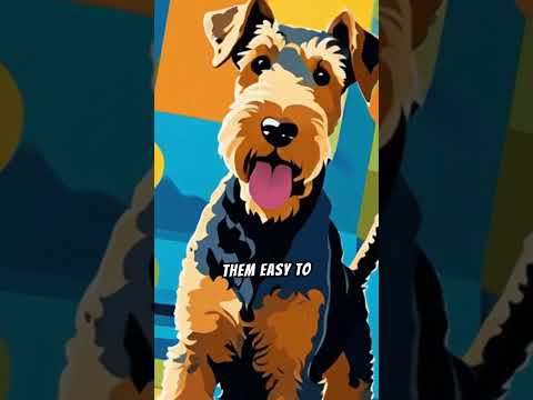 Top 10 Facts About Airedale Terriers #facts