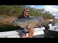 Small baits for heavy weights. Big Golden Perch and Murray Cod on small plastics, Eildon Style