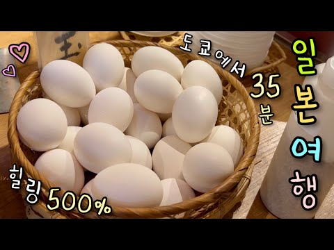 도쿄에서 35분⁉️ 소도시 감성 여행💞 사시미 처돌이 찐 맛집 大공개🎣 오다와라, 아타미 알찬 1박 2일 코스✨