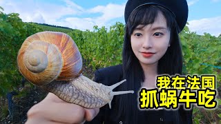 在法国抓蜗牛吃，法国一年吃掉6000吨的蜗牛味道如何？| 农村 | 美食 | 法国 | 户外 | 蜗牛 |