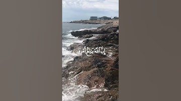🌷🌷 #تلاوات #تلاوة_خاشعة #تلاوة_هادئة #قرآن #قران_كريم