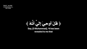 كرومة سوداء قران | بداية سورة الجن | ياسر الزيلعي 🤍