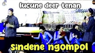 Download Lagu Terbaru Jo klitik Jo klutuk lucune deerr tenan MP3 Download Lagu Terbaru Jo klitik Jo klutuk lucune deerr tenan MP3