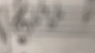 小本詩歌135